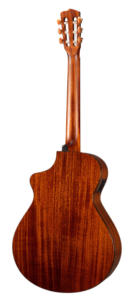 Breedlove Discovery S Concert Nylon